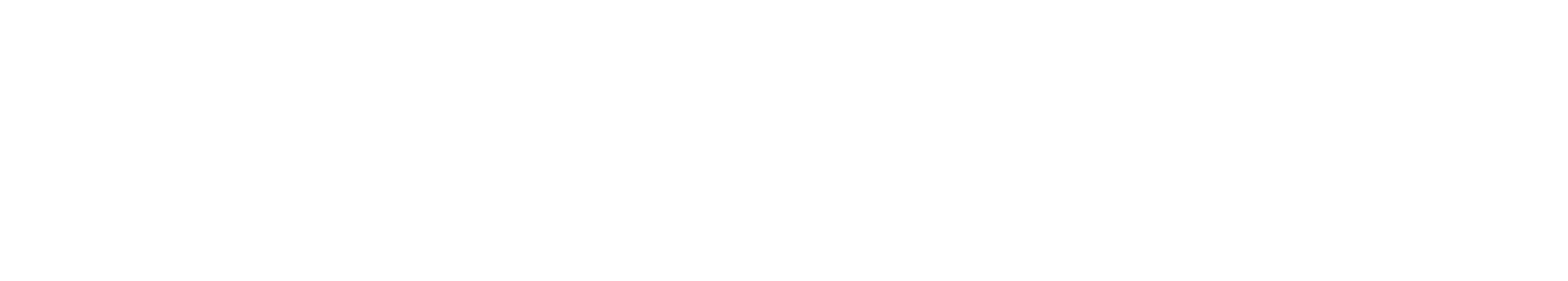 Fractal DNB